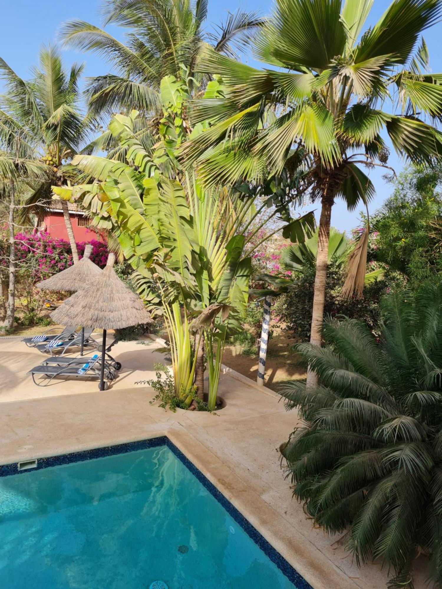 Bed and Breakfast Le Souimanga Bleu Saly Exterior foto